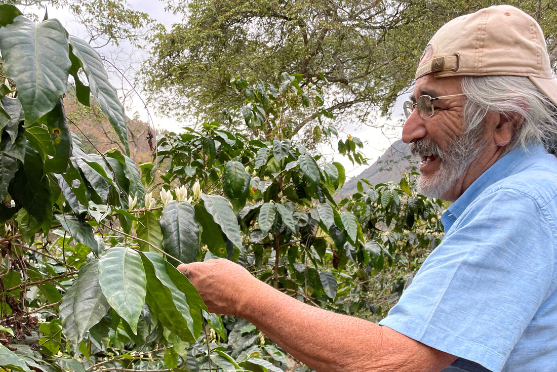 Guatemala買い付け珍道中＃4