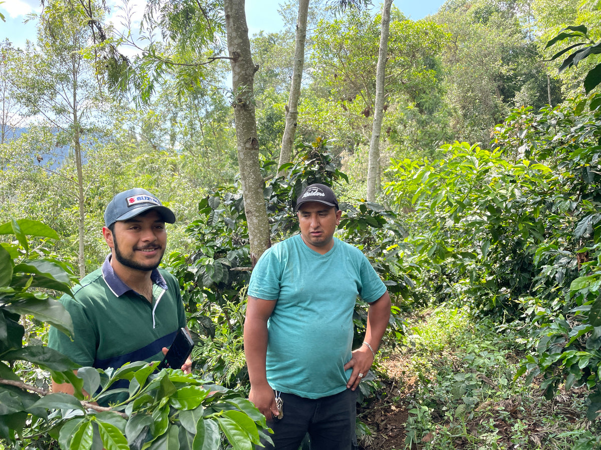 Guatemala買い付け珍道中＃5