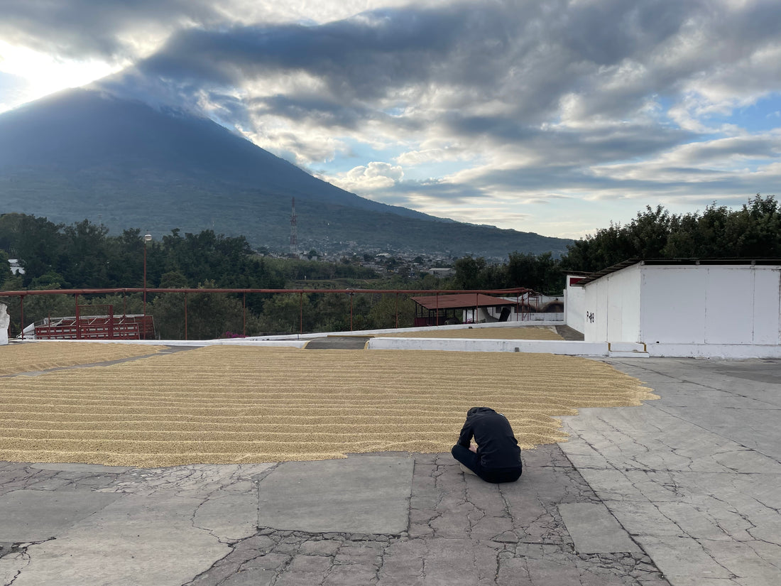 Guatemala買い付け珍道中 ＃１