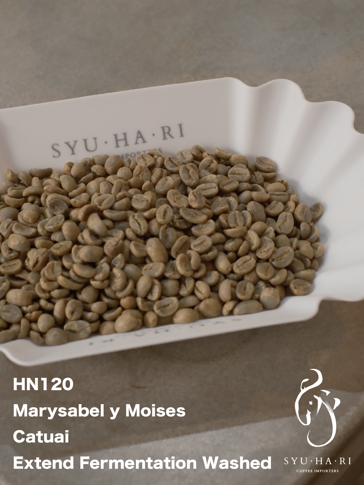 NEW【果実感と質感が織りなすハーモニー】ホンジュラス<6kg～> - Marysabel Caballero y Moises Herrera - El Campo - Catuai - Extend Fermentation Washed - Lot 12 -HN120