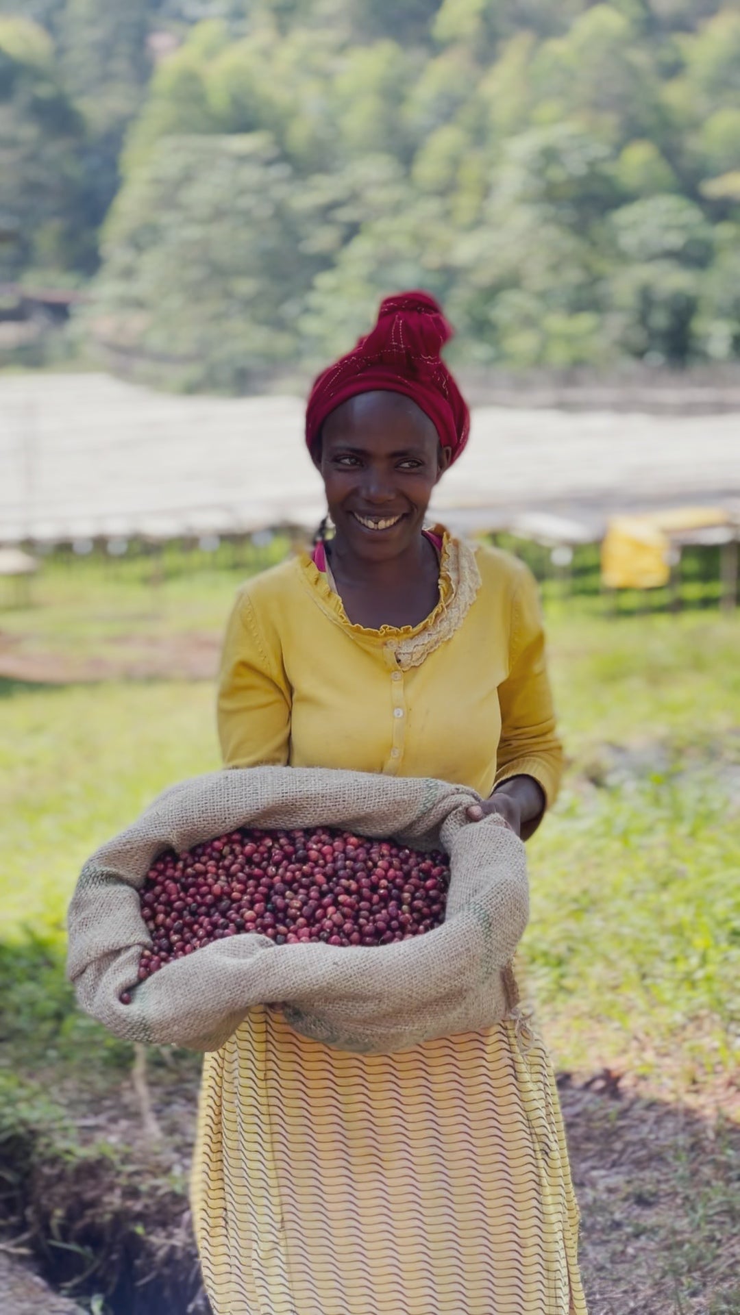 Coming Soon【熱いときにはメロン、冷めるとアップル】Ethiopia – Sidama - Ayla Bombe – G1 – Natural (6kg～)
