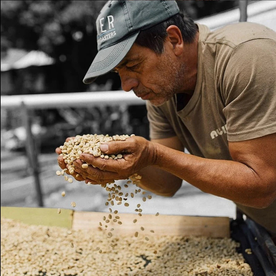 Sold Out【人気農園の注目品種ロット】Costa Rica - Carlos Montero - Don Eli – Typica Mejorado – Honey<6kg>