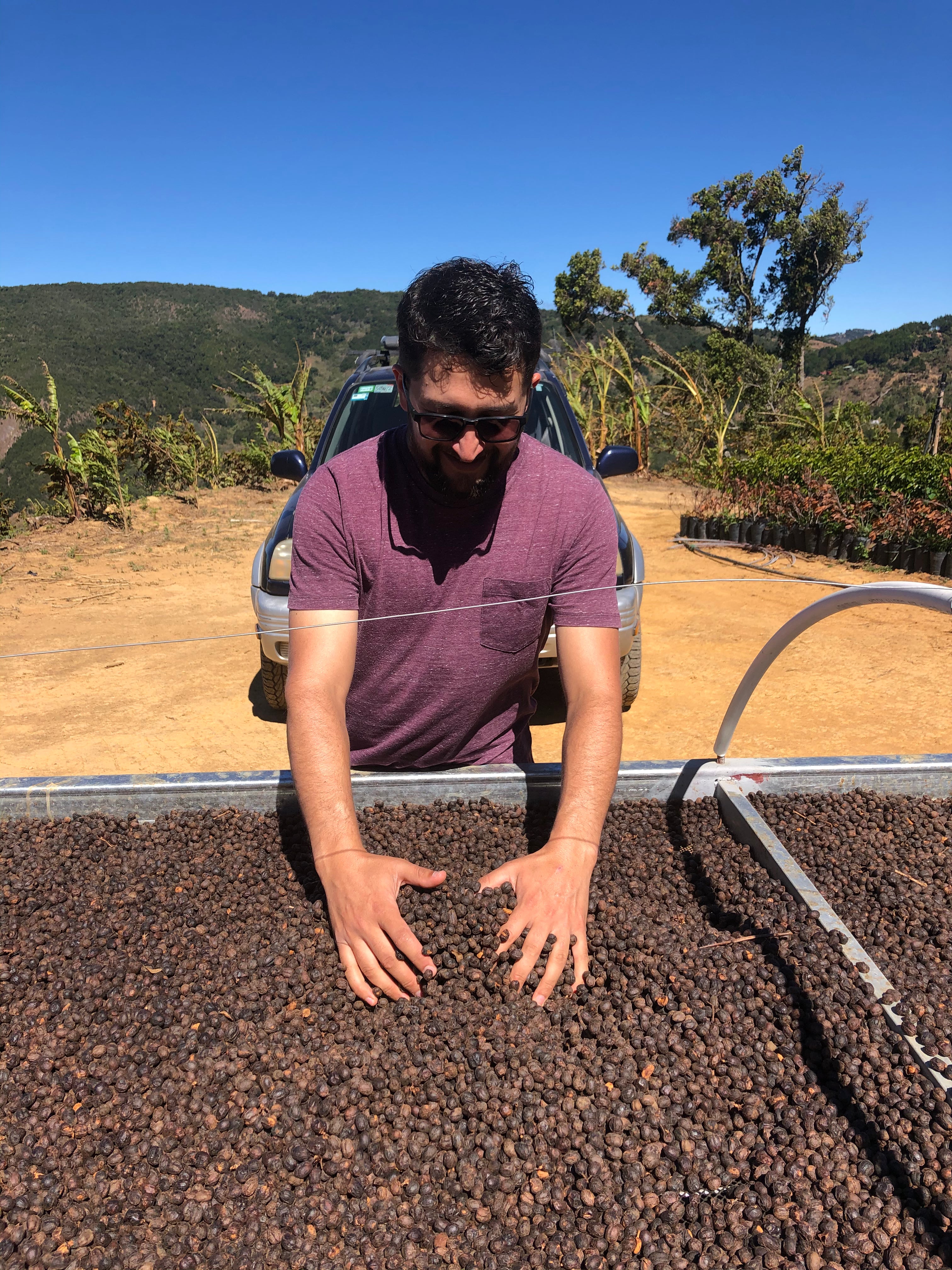 【今期最高スコアゲイシャ】Costa Rica - Johel Monge Naranjo - Hacienda San Isidro Labrador - Geisha - Red Honey <3kg～>