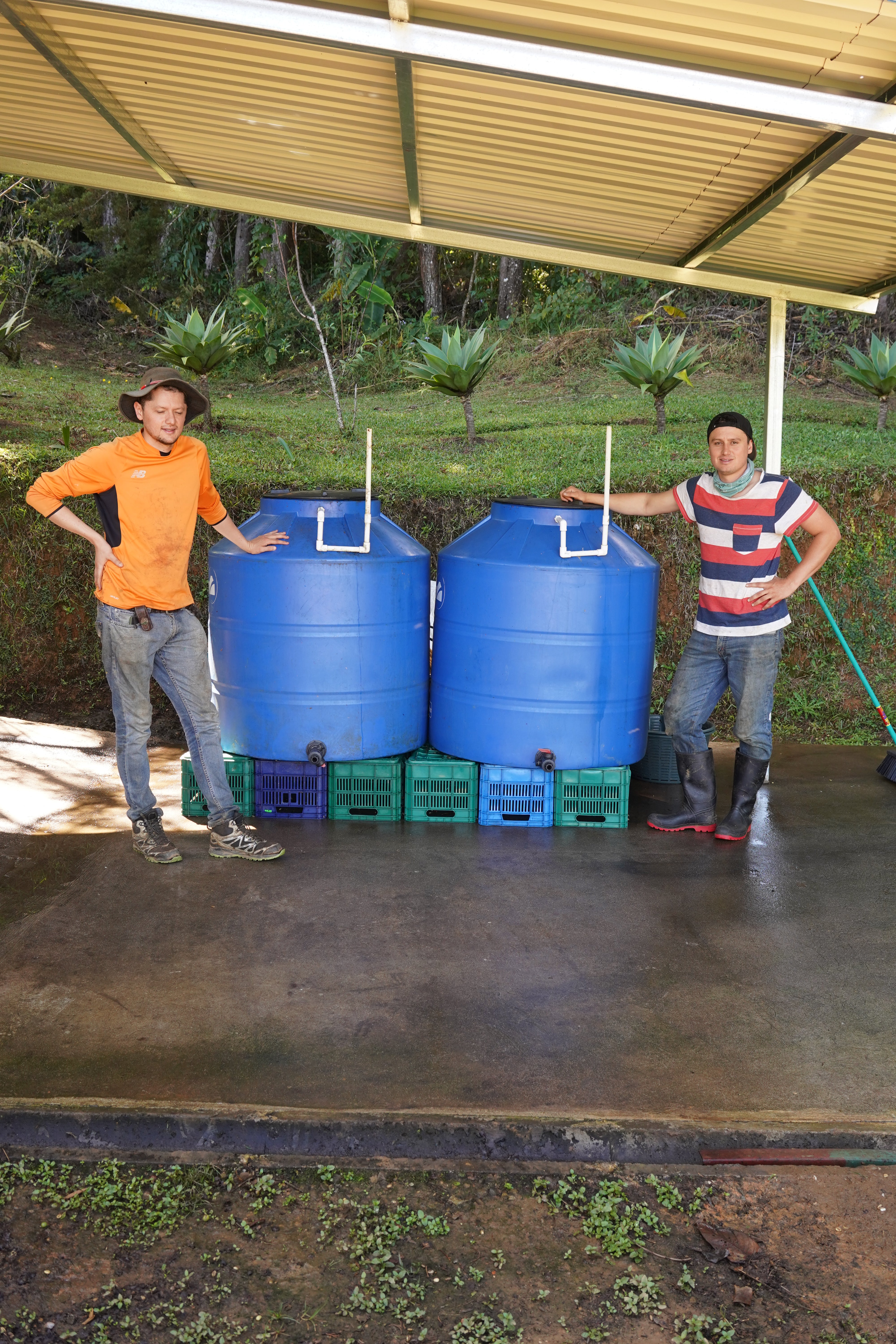 【卸でも人気のIvanさんのハニー】 Costa Rica - Ivan Gutierrez – Quebrada Grande - Catuai – Honey<6kg～>