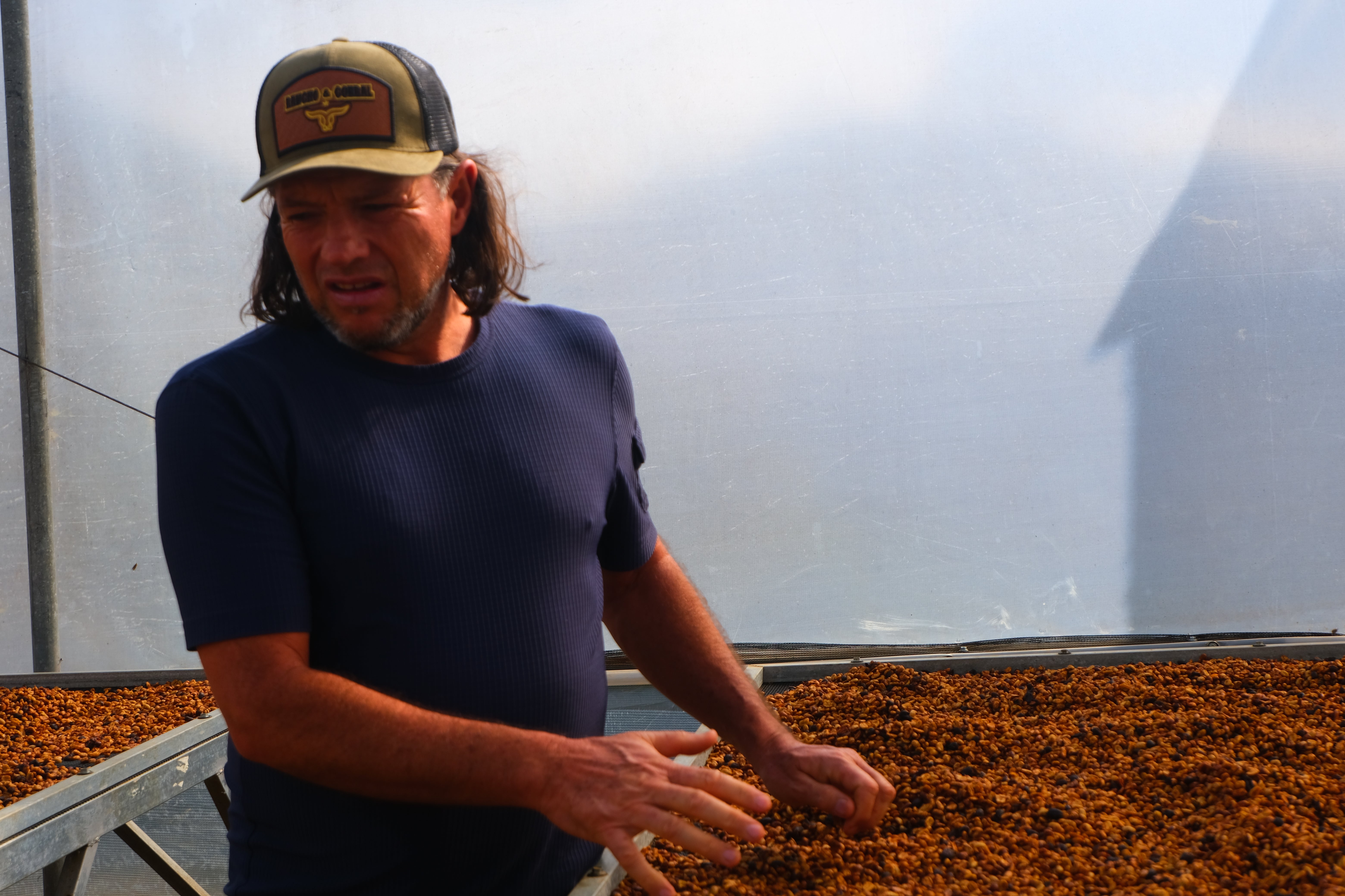 【超絶きれいなゲイシャレッドハニー】Costa Rica - Roger Urena – Santa Teresa 2000 - Lot Copey1-M - Geisha – Red Honey<3kg>