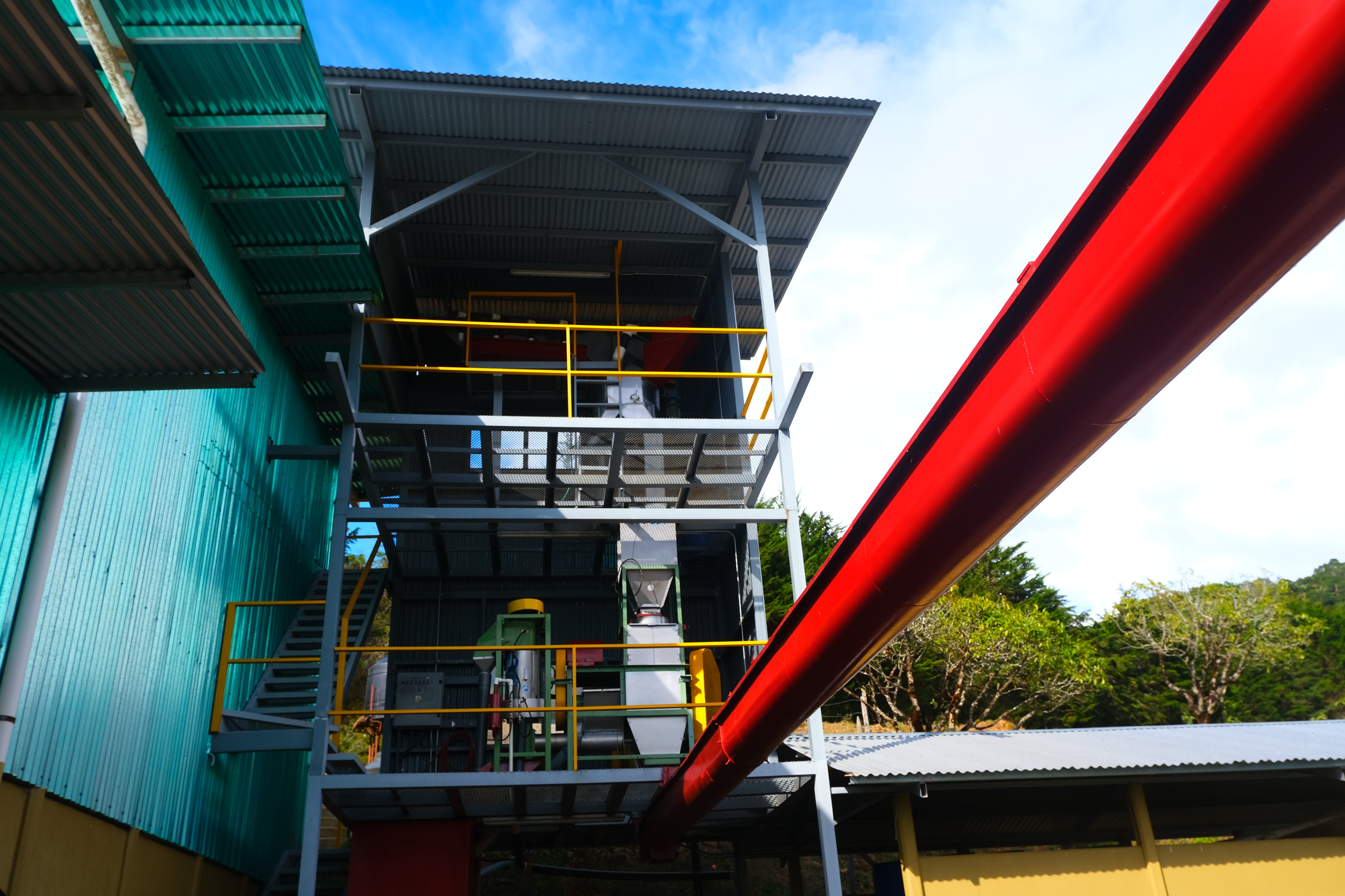 【超絶きれいなゲイシャレッドハニー】Costa Rica - Roger Urena – Santa Teresa 2000 - Lot Copey1-M - Geisha – Red Honey<3kg>