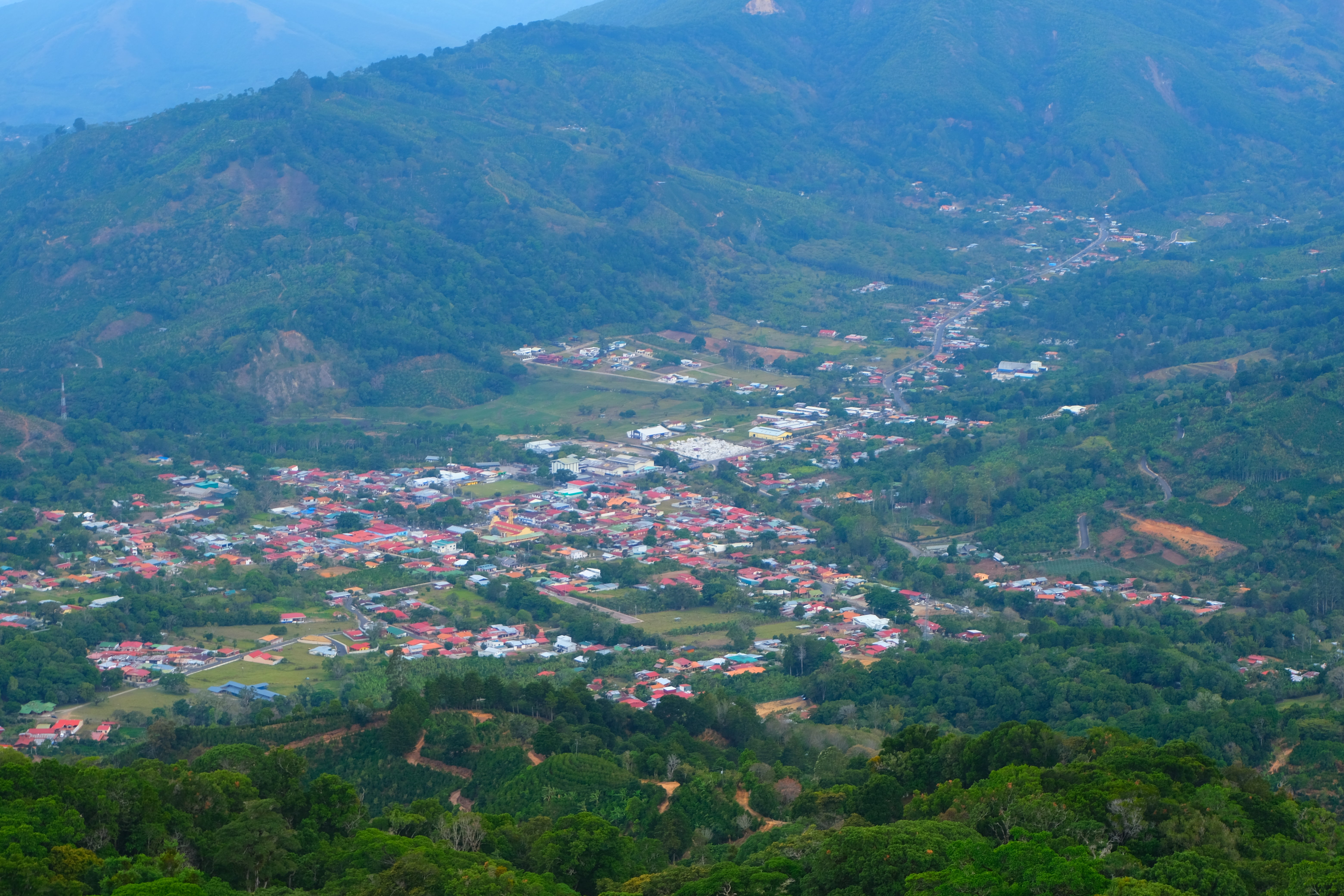 【超絶きれいなゲイシャレッドハニー】Costa Rica - Roger Urena – Santa Teresa 2000 - Lot Copey1-M - Geisha – Red Honey<3kg>