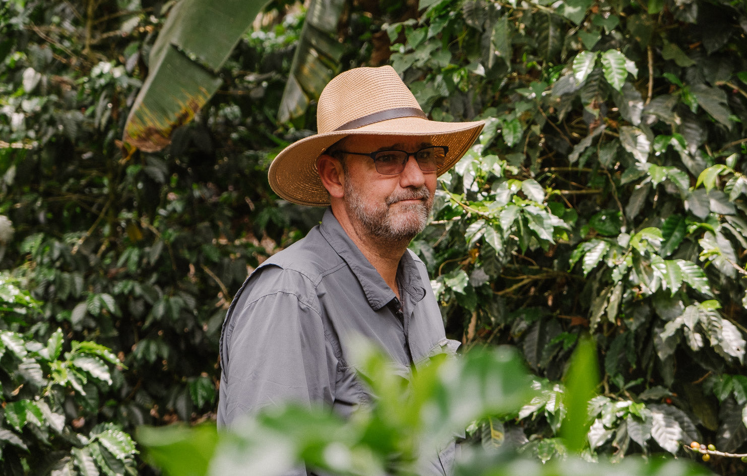 【去年も人気だったテオさんゲイシャ】Guatemala - Teodoro Engelhardt - Geisha - Fully Washed<3kg～>