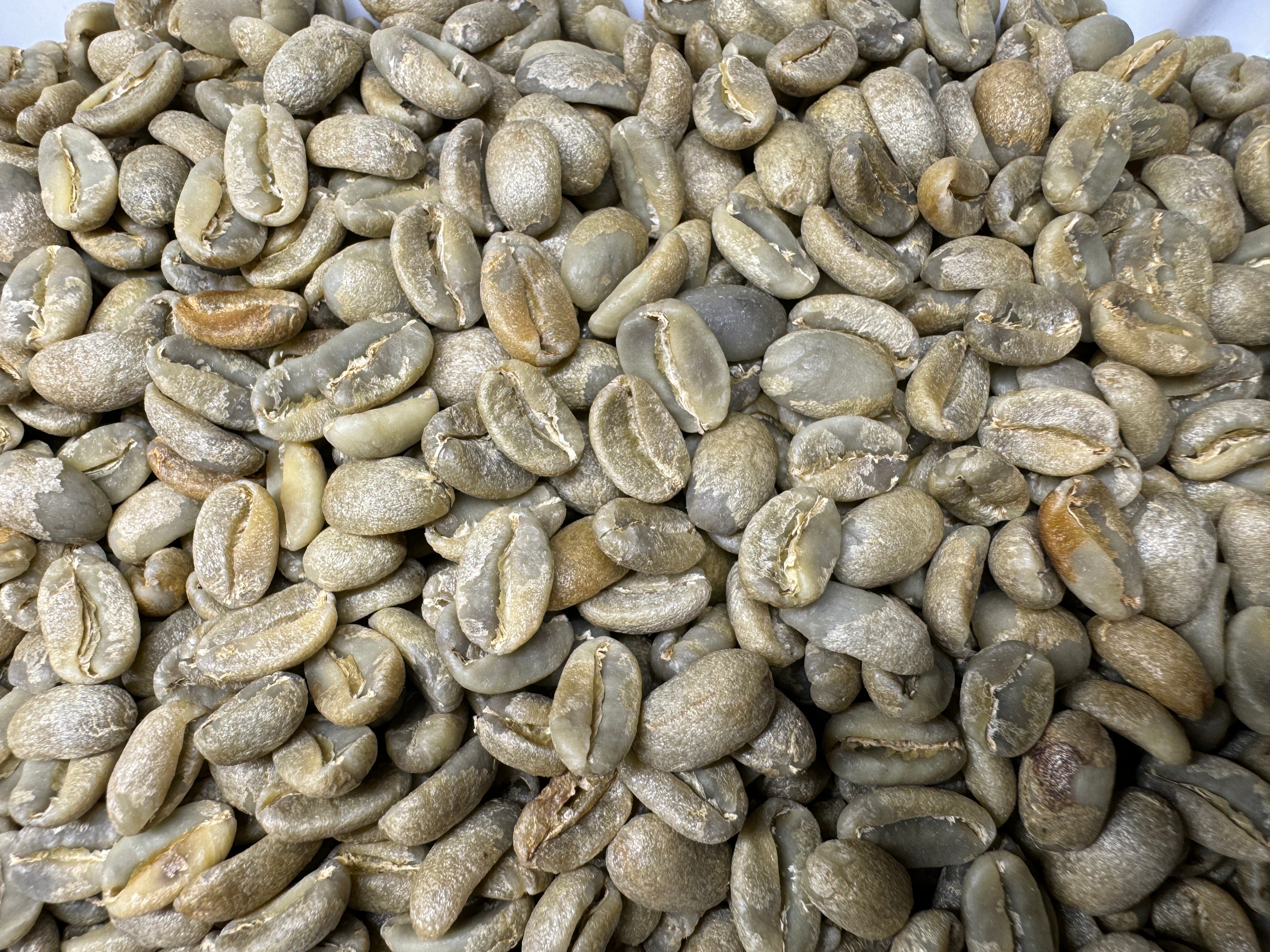 【LAST2kgシュハリのフラッグシップ農園】Guatemala - Henio Perez Family - Geisha - Lot148 - Fully Washed<3kg>