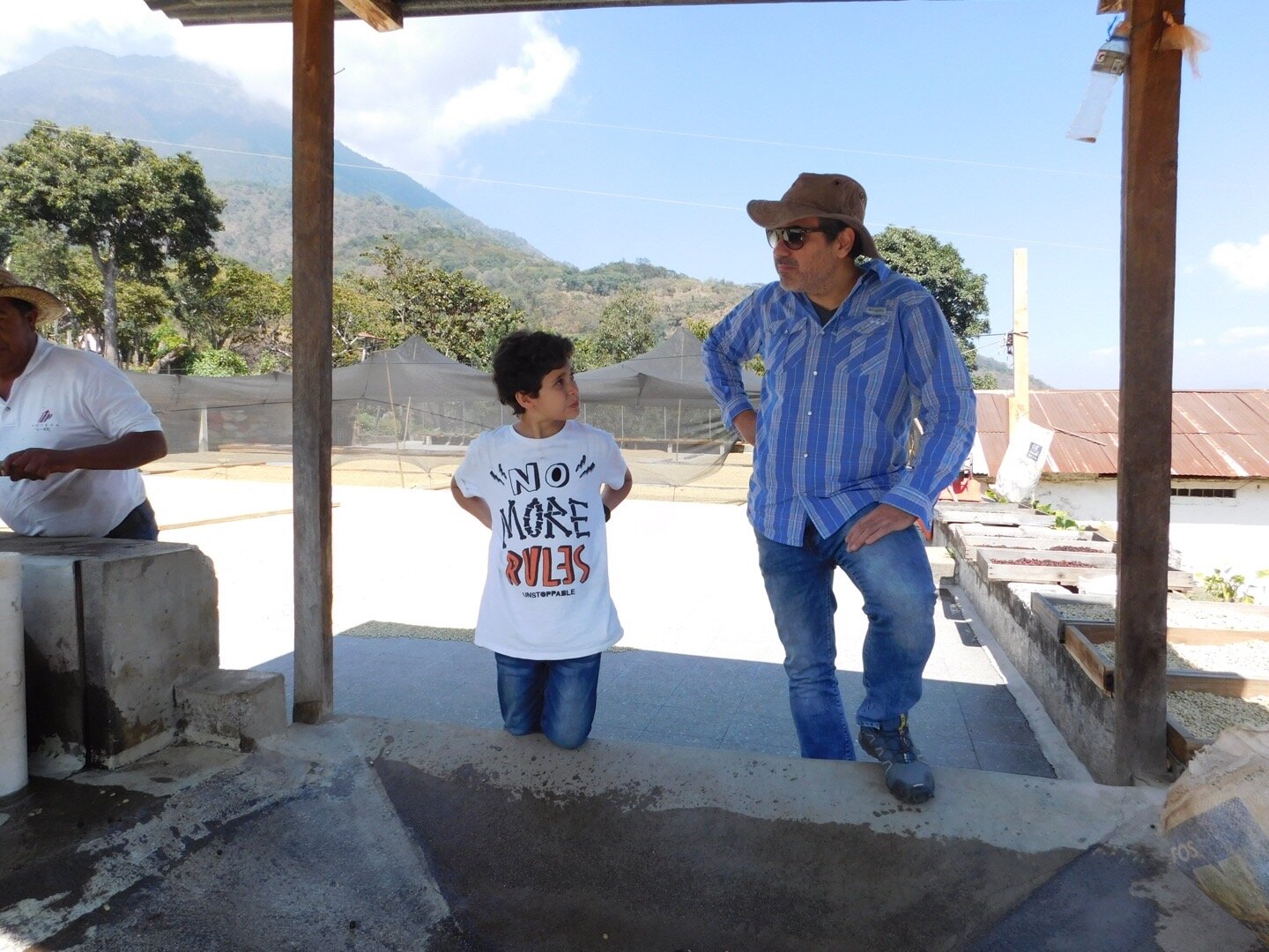 【NEW】Guatemala - Javier Cabrera - Geisha - Fully Washed<3kg~>