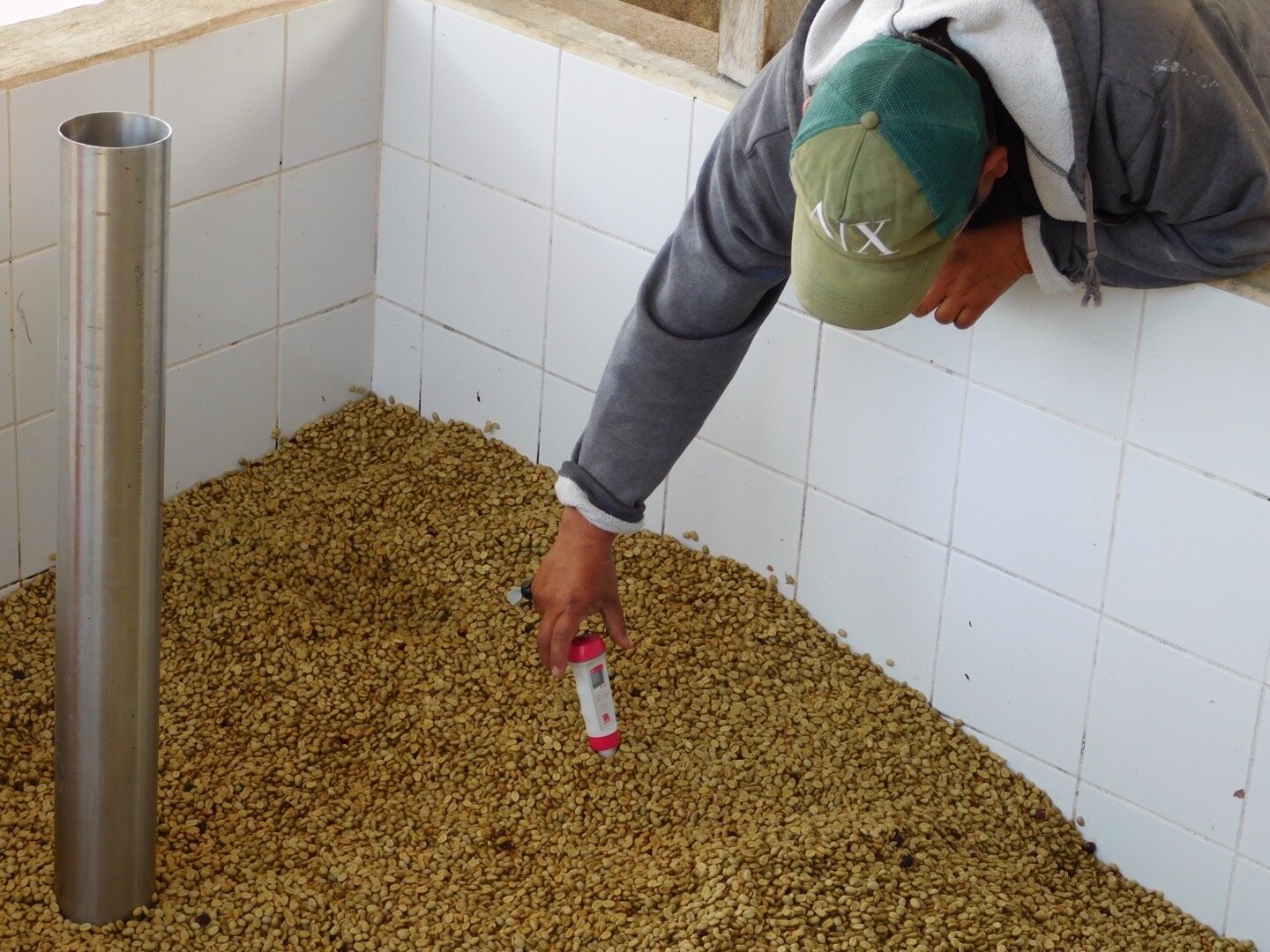 【NEW】Guatemala - Javier Cabrera - Geisha - Fully Washed<3kg~>