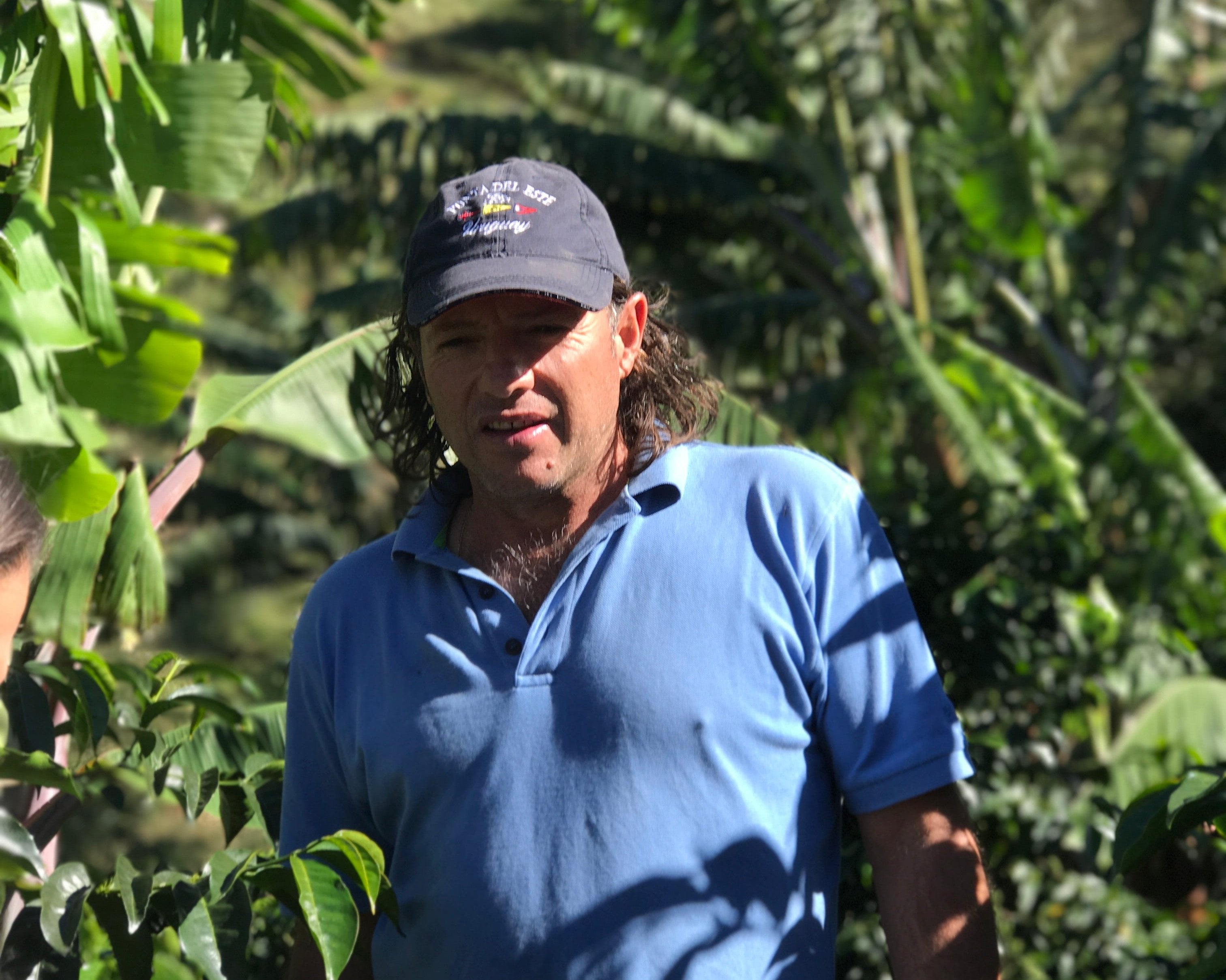 【去年焙煎の大会で提供】 Costa Rica - Roger Urena – Santa Teresa 2000 - Lot Cedral #11 - Catuai – White Honey<6kg～>