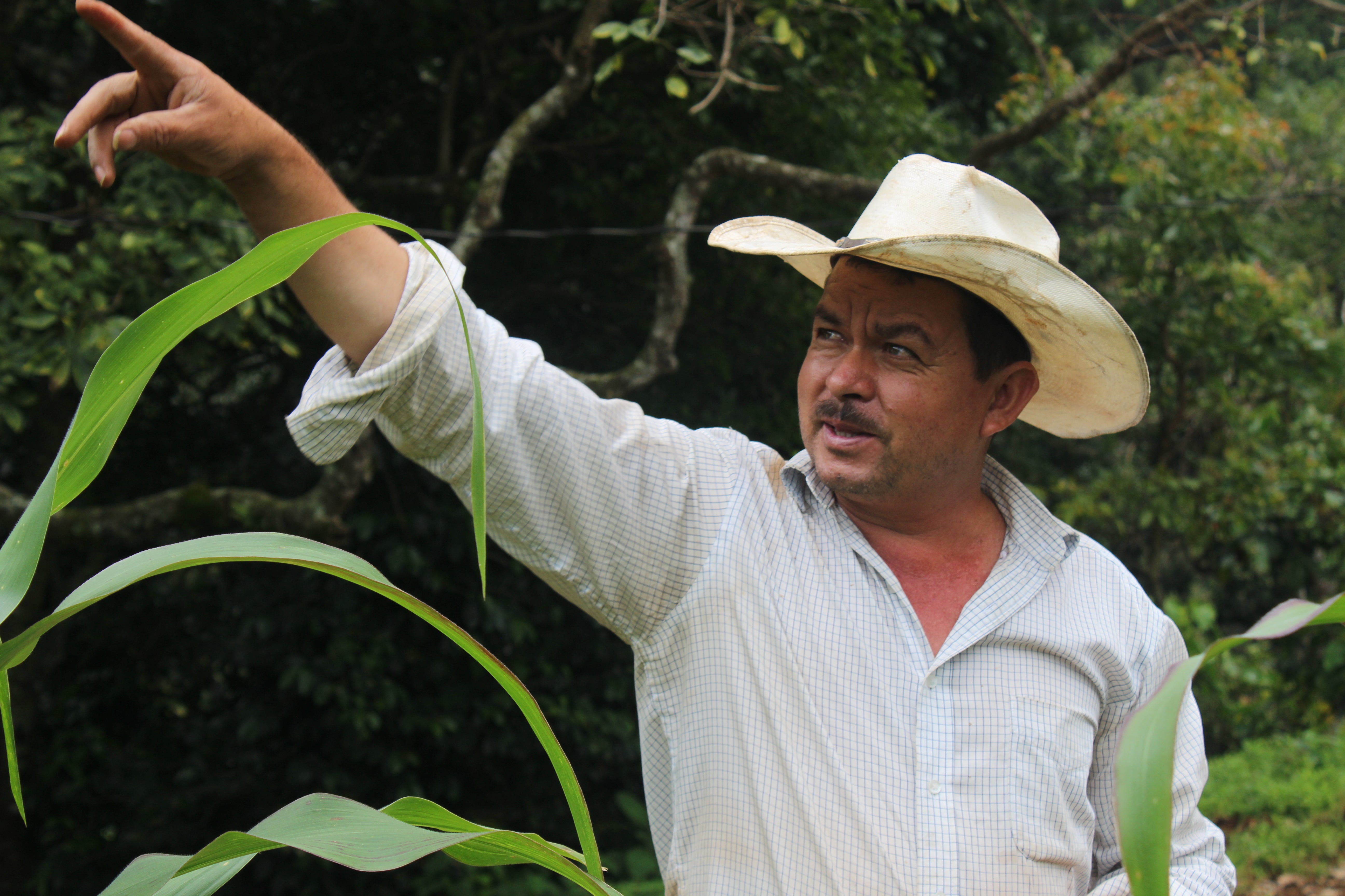 【NEW】Honduras -  Humberto Ardon - Pacamara - Fully Washed<5kg~>