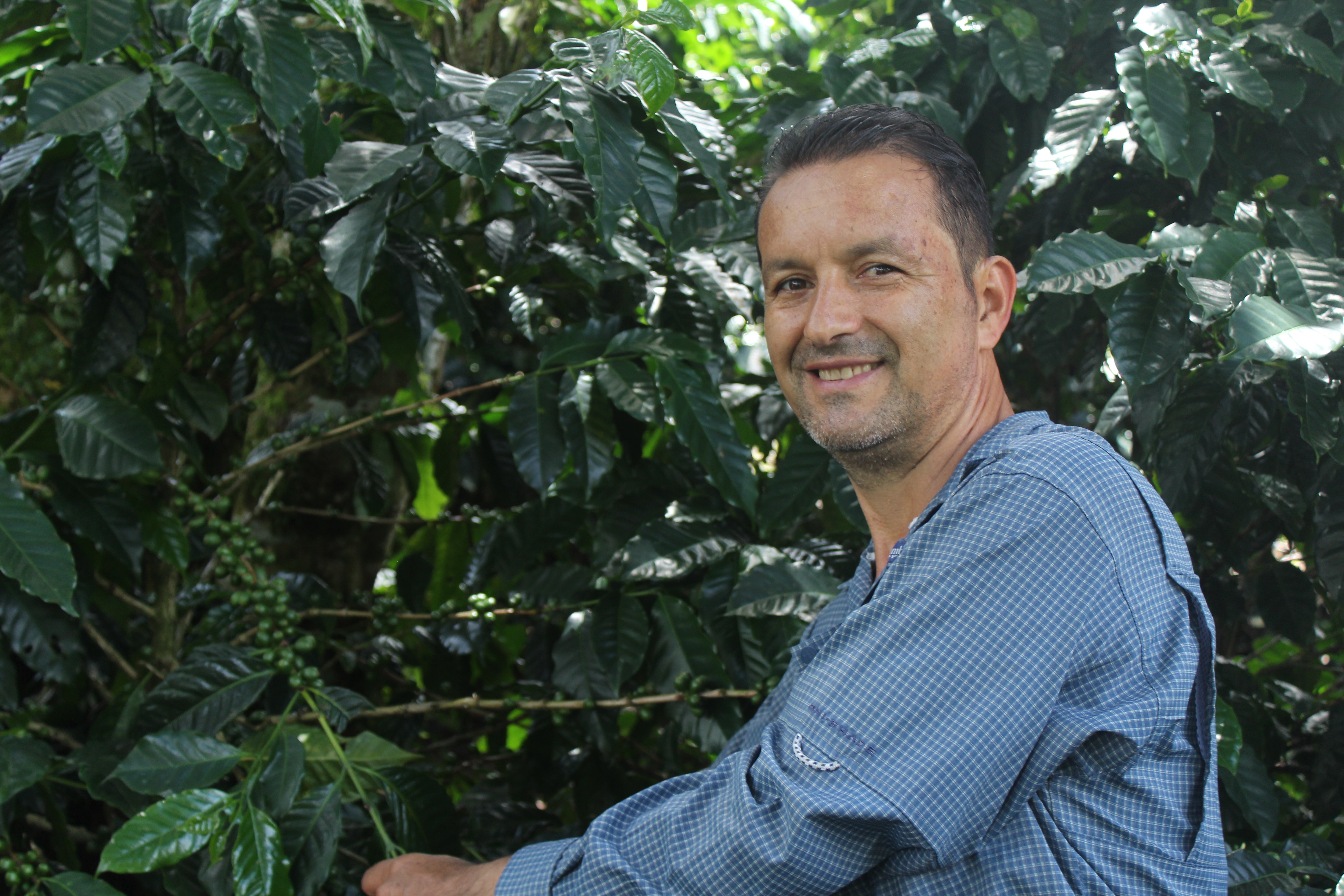 【マドリッドファミリーのデイリーロット】Honduras - Franklin Madrid - Pacas – Washed <6kg>