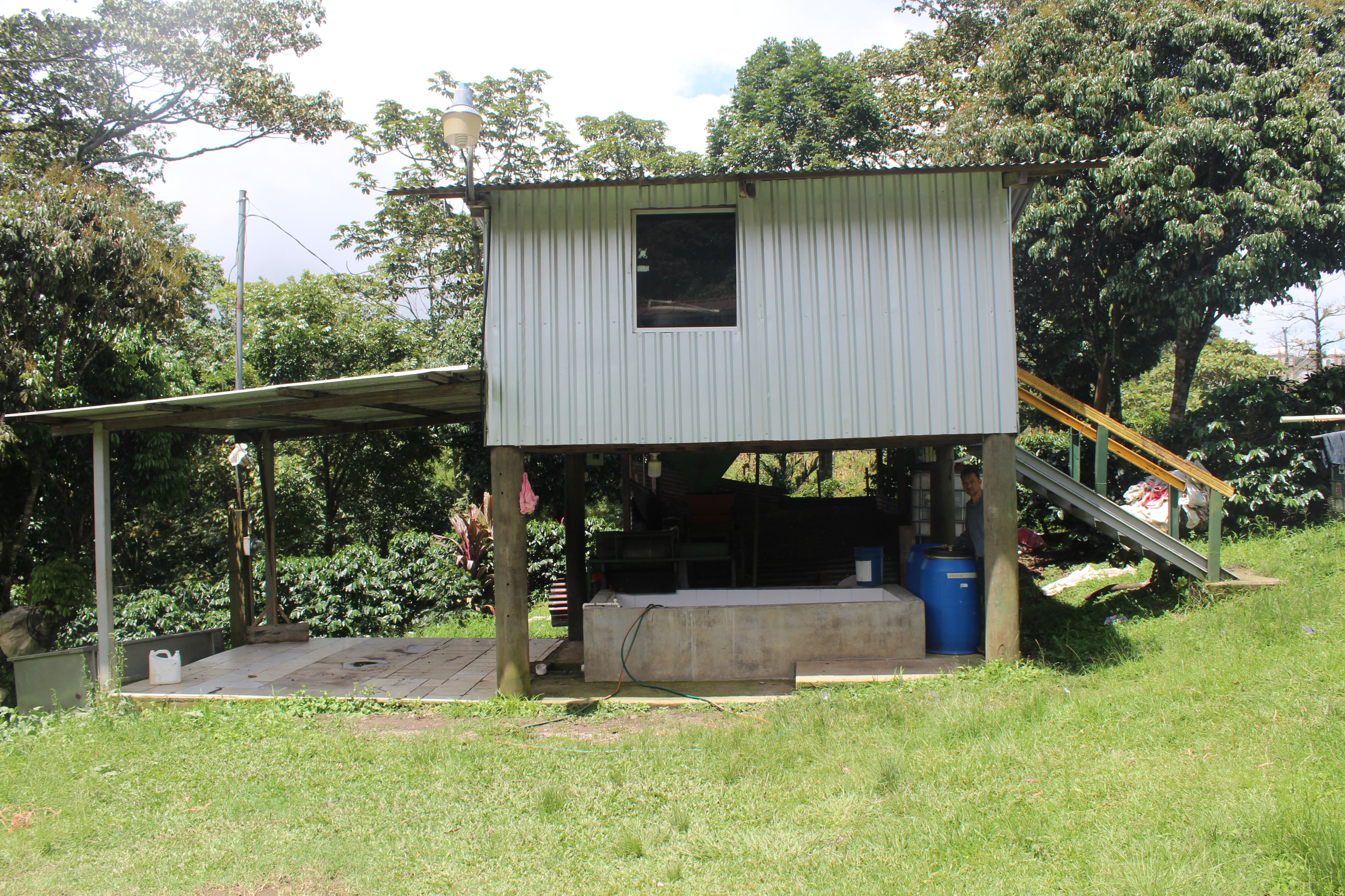 【マドリッドファミリーのデイリーロット】Honduras - Franklin Madrid - Pacas – Washed <6kg>