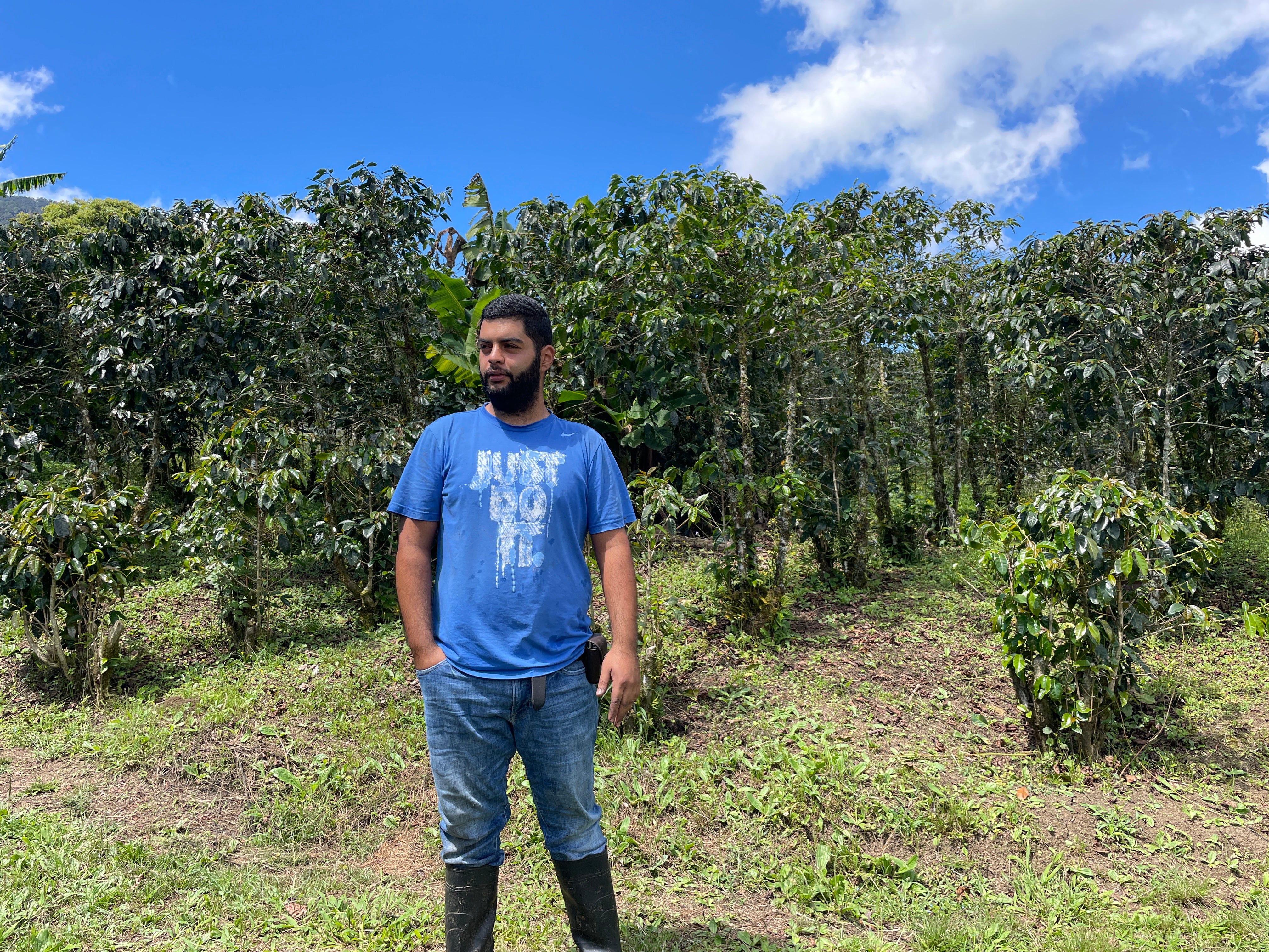 【毎日飲みたくなるデイリーロット】Honduras - Carlos Madrid - Pacas/Catimor – Washed <6kg～>