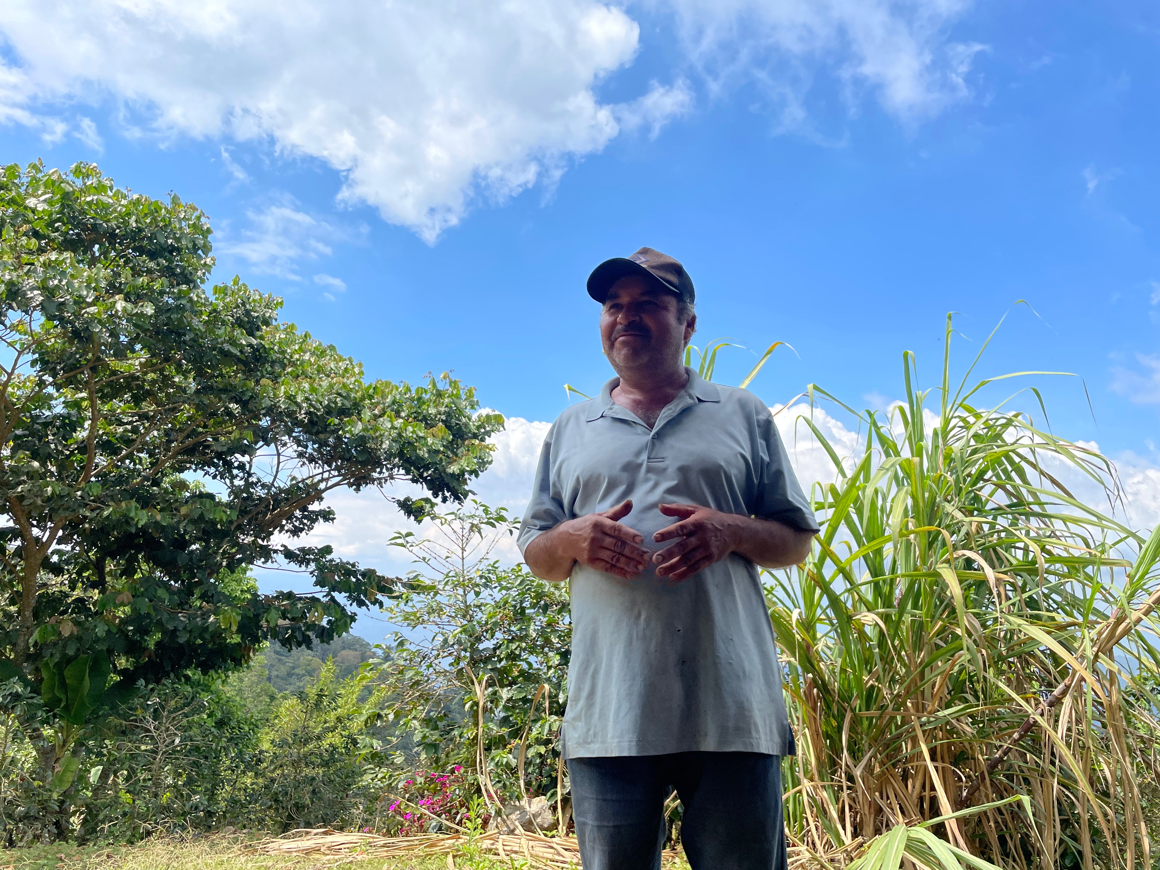 【残9㌔ SYUHARI オリジナルロット】Honduras - Juan Carlos Juárez - Geisha – Traditional Washed <3kg>