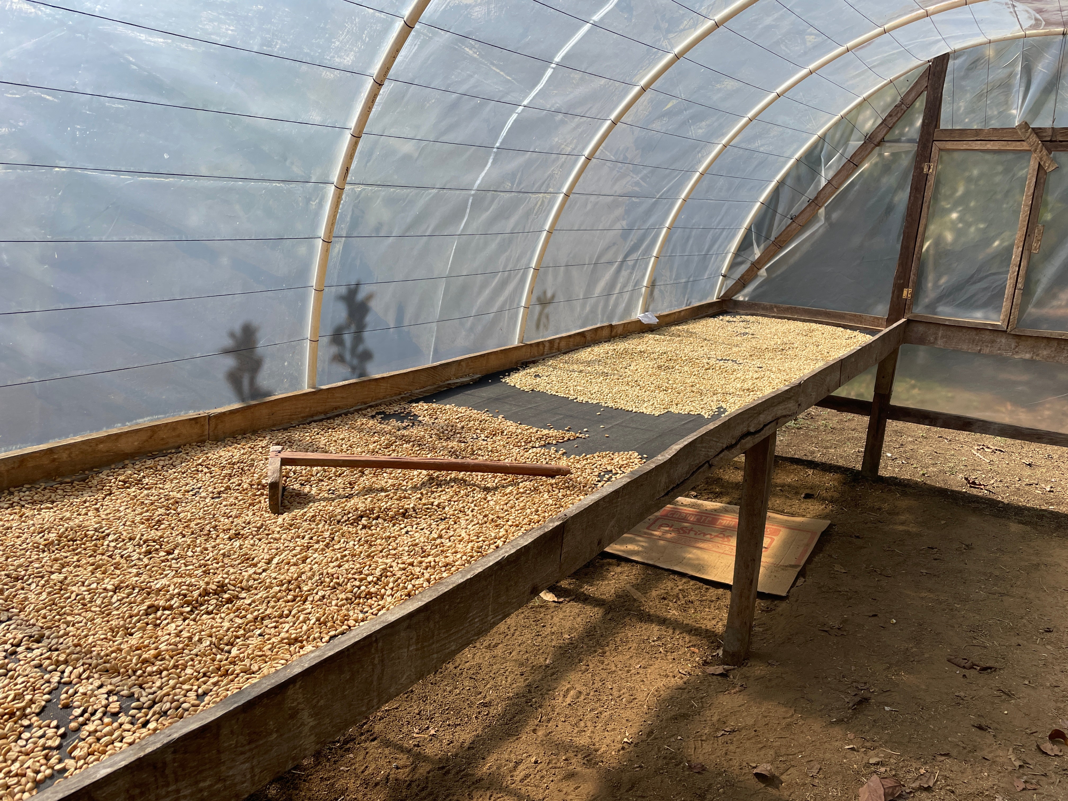 【NEW】Honduras - Juan Carlos Juarez - Yellow/Red Pacas - Fully Washed<5kg~>