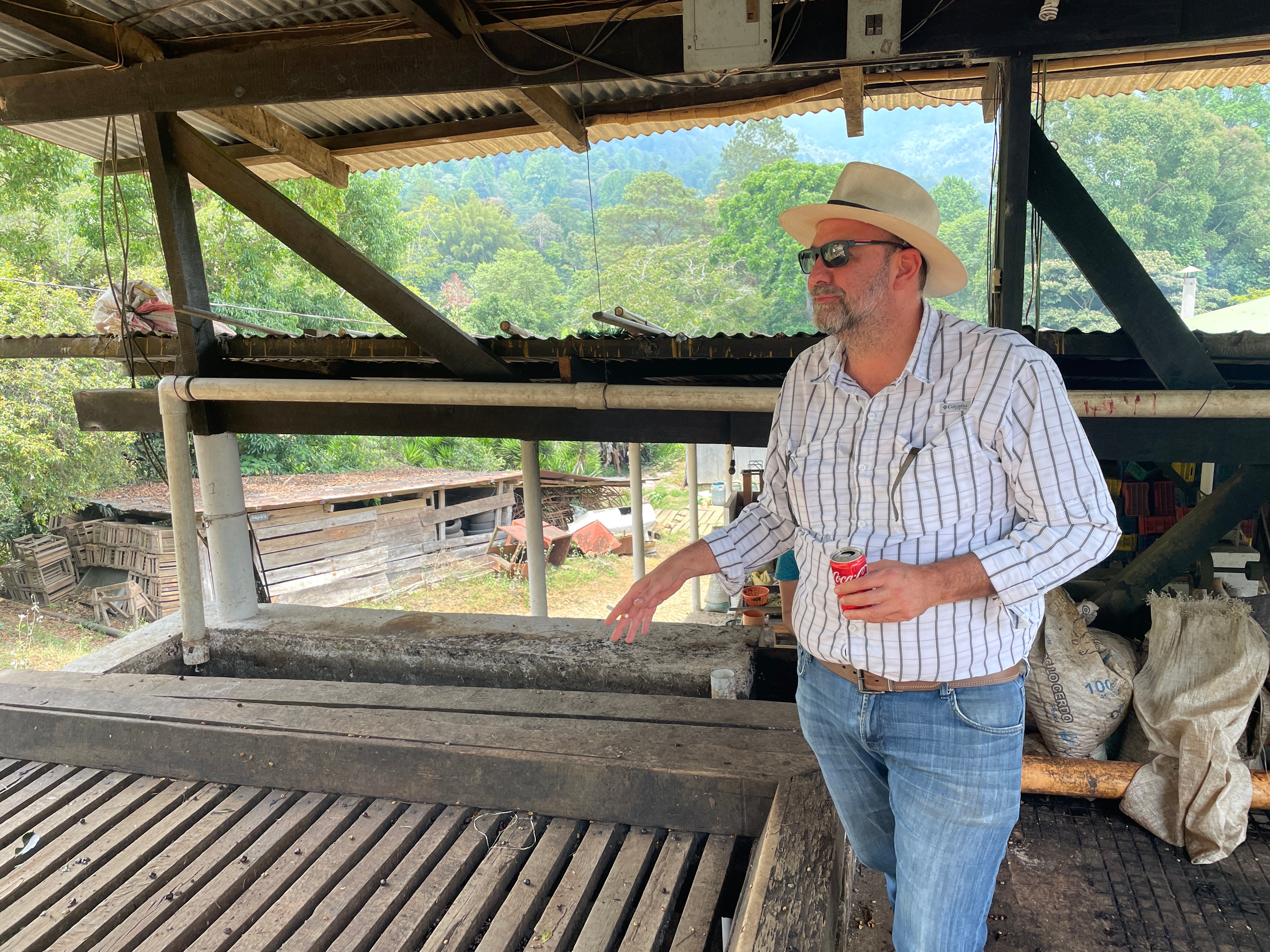 【去年も人気だったテオさんゲイシャ】Guatemala - Teodoro Engelhardt - Geisha - Fully Washed<3kg～>