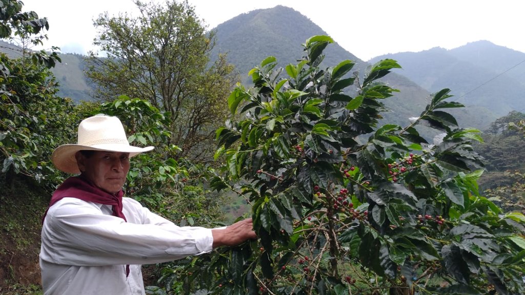 【New】Colombia - Lisandro Quilcue - V.Colombia - Washed <5kg>