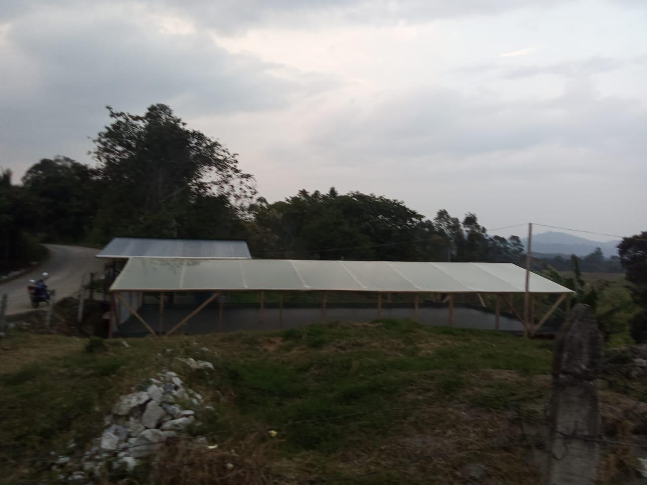 【毎日飲みたいColombia】Colombia - Neider Criollo - Colombia - Fully Washed<6kg～>