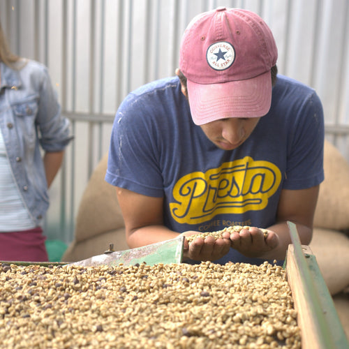 NEW 残15kg【ドンエリのワイニーでリッチなティピカ】コスタリカ<3kg> - Carlos Montero - Don Eli - Finca Manzanal - Typica - Natural - CR059